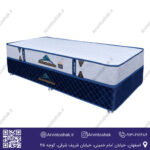 تشک آتبین